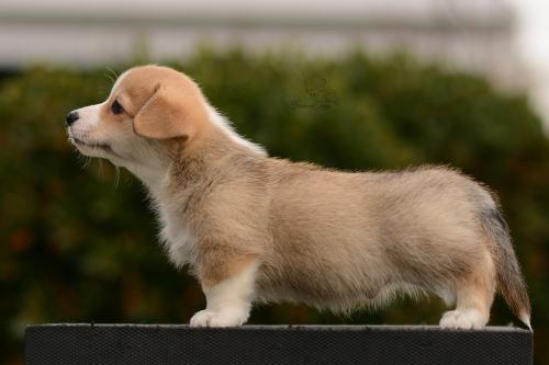 27162506 7fdb6b67e63af8b64714933fa57e5974 xl