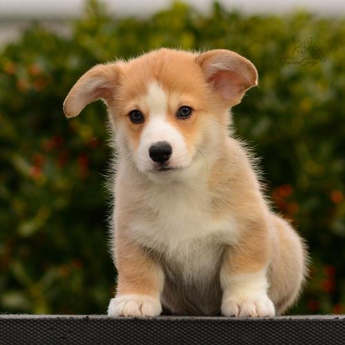 27165486 1d16cfd8f428580609b830ae659e0a0b xl