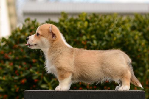 27165488 5af78b7332a217553e7fb0334c96e5e5 xl