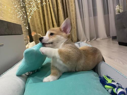 27167290 7ea530502b2b1532147e17405d6f7d31 xl