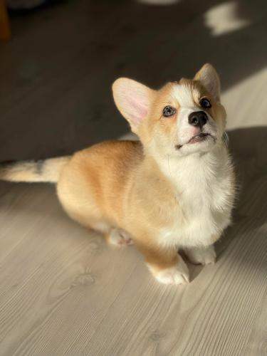 27167292 27e7dacdeb837c02cfa91c3849ea09eb xl