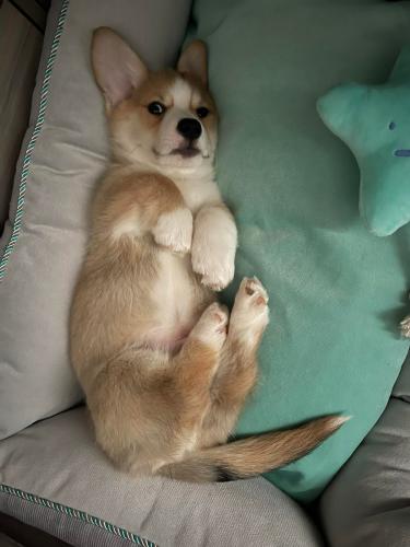 27167294 fb29ef2c318128264a593bc03a9264c6 xl