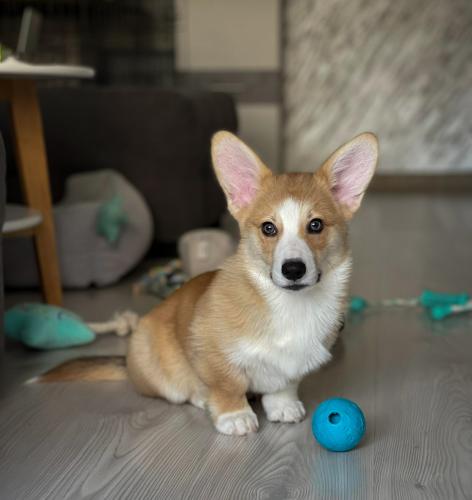 27176342 253df2e4b8601ff6528f3a6034b4aebb xl