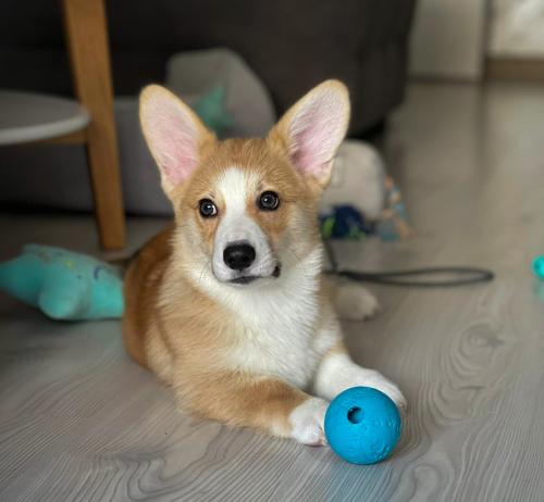 27176344 52a5d01219600a782c2004c673bc2efb xl