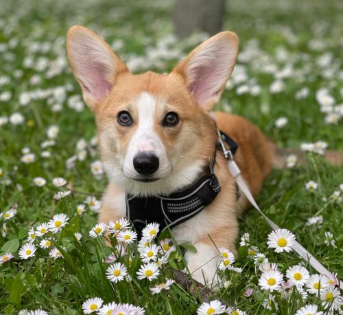 27191858 1e2f9cba50e72bf67bcfa2aad412de1a xl