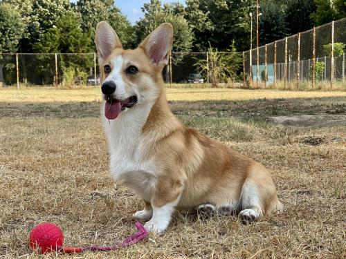 27225232 2b98d72e169ba071d0a8ac7806460f7d xl