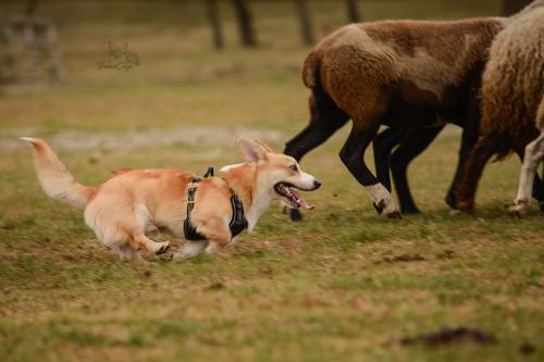 27252270 1f653ce84ebb075ed97e31f3b0bf5265 xl