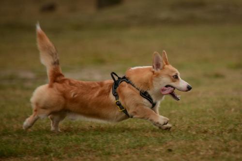 27253864 1d2308aab072c93743a6d318a4d2609f xl