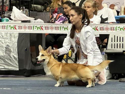 27253866 c59756ae1c3c5b485a97fcbe085c56bb xl