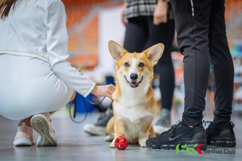 27269238 49c8275dd590269460b1d7fe9abac16b xl