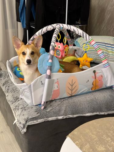 472381648 883570040517981 172158738661263174 n