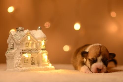 27146856 d76f17c51f0c5256b3e5deda133d4c64 xl