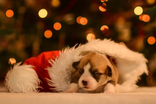 27147690 fd9c620d8d5434ad27372eb5dfa7575a xl