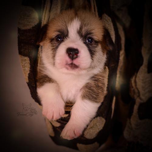 27155470 a4338cc1798eb8567b0134625723c6c1 xl