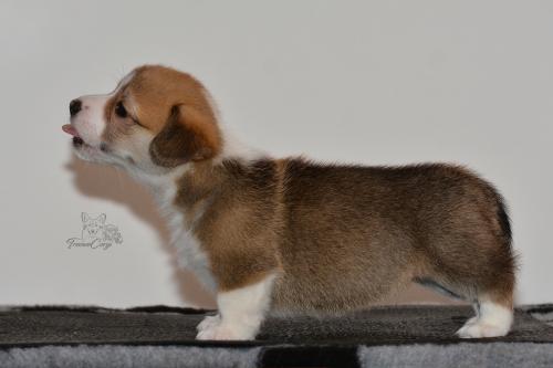 27160106 ba8c28e7e86cce7564591aa88659a30b xl