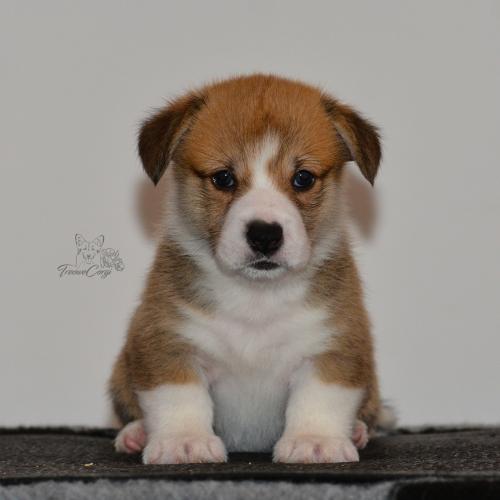 27160108 3159b5c47ff956548b25b58f66d74e93 xl