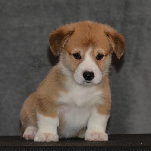 27160264 602e36d8c89570839ca7c4b6bd8e9f3b xl