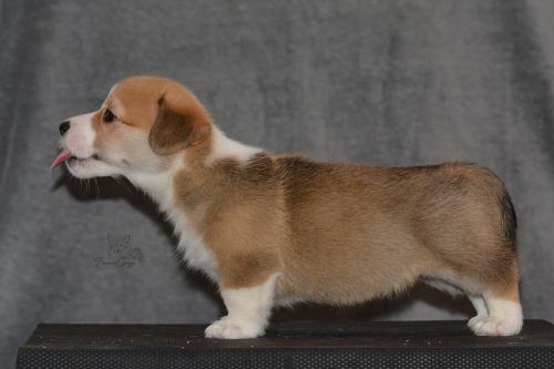 27160266 6e5f6809867b0d9962838f07c9314cb8 xl