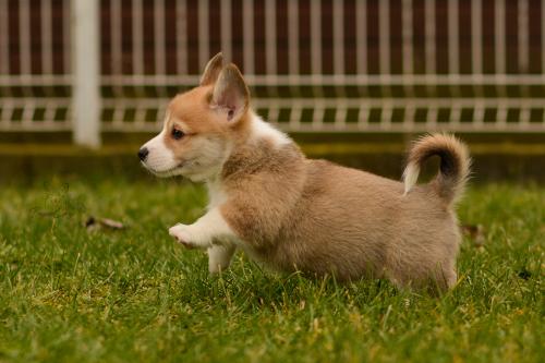 27160298 e45b4ebda3a9d7a57bcab993f08f5453 xl