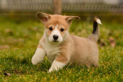 27160300 2041df8d0c67a21a3d2ac819af3cf201 xl