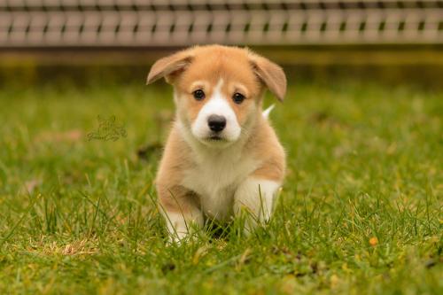 27160302 096c5b286ae46d079af3b4a2d975574a xl