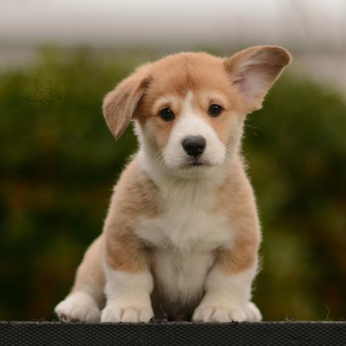 27162528 eaeebd34477002f341b22a72995171e2 xl