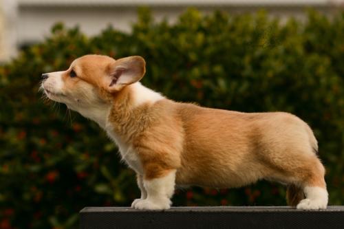 27165506 86341a8a84cc299c570f095516a8934f xl