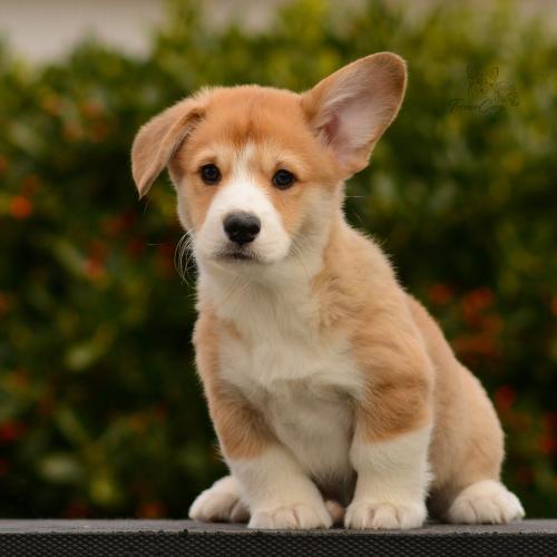 27165508 a5564db40ac3c74d1b2114f259cd8ece xl