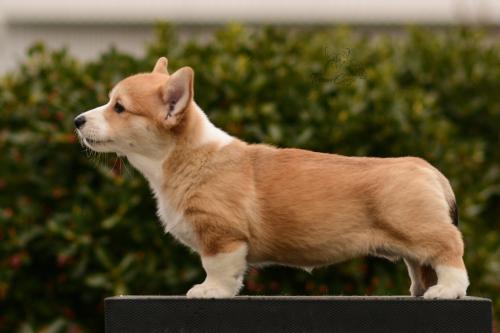 27167270 76a72590930a91d23665a53064fb659c xl