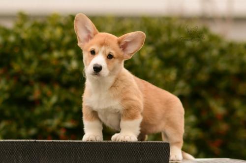 27167272 79692afd5ec82be78c7655ce36205630 xl