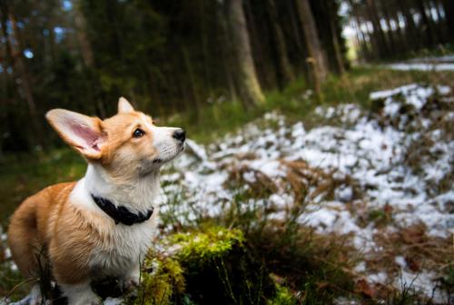 27181372 de5ccb386e660dcabc475f973d25efa3 xl