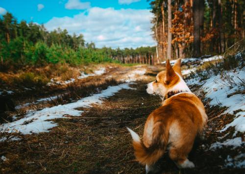 27181374 bd7e9fc803fb1a38023f23369b2af0f0 xl