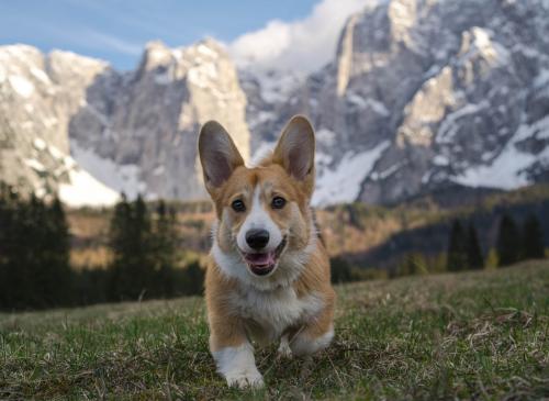 27225220 db0e10129de2aa4ffdc68934466c29f4 xl