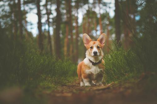 27225222 12c18bee3a525159be85d145e51d646c xl