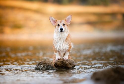 27268886 0977304acab4acd2dedcf4b8ecd6e1db xl