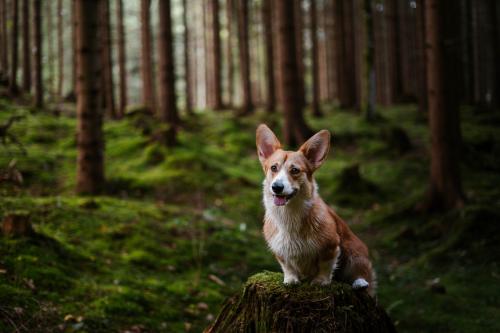 27268900 ce611f5aae6bf627bb7ecc76437287c8 xl