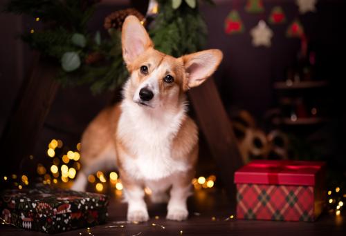 27268914 9d2f703031ccb06fbbb8a7a53ad811d3 xl