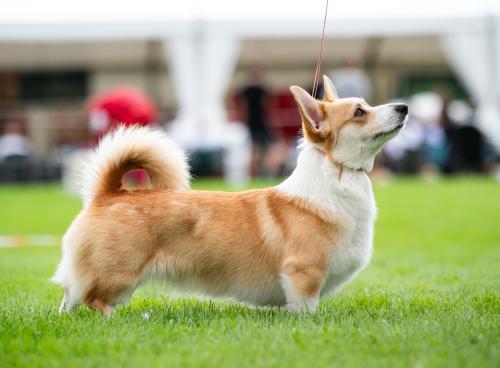 448923659 322855180894309 7233991122748397359 n