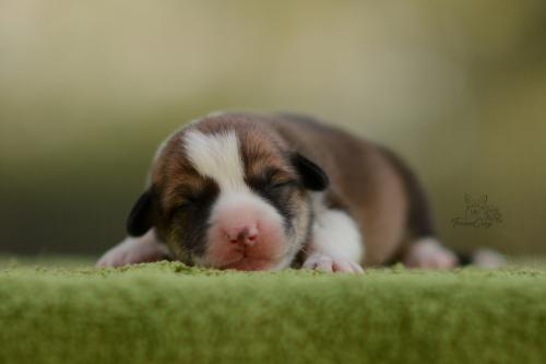 27196038 fe100435edcfe624774e4b66ae304785 xl