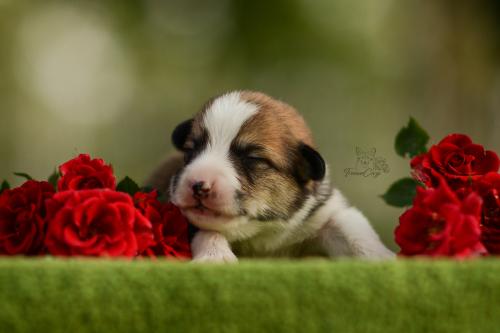 27197234 b73f0a9c34c200096e50fa92e9b448c2 xl