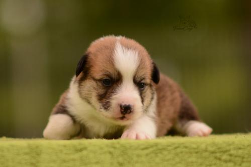 27199976 4d5a4be75d4ca9cc9aaf30f854d36f8b xl