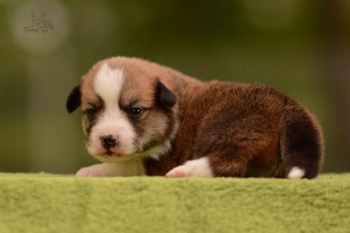 27199978 a7b31b8b2ad7bf67efc6620dbecac09f xl