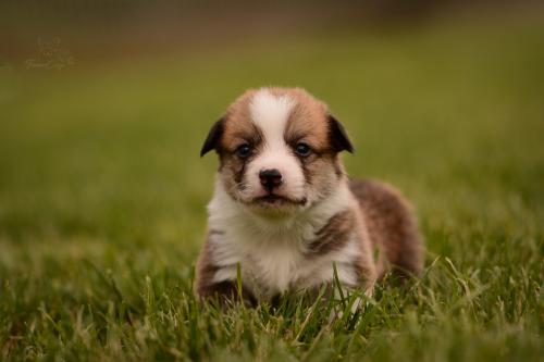 27202554 dfafb9ef1d8c00249a64df990216c3bc xl