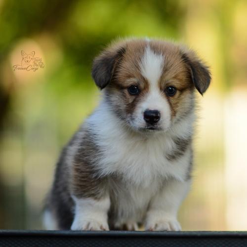 27208732 b443392b9c2c320cdf69c425348b2219 xl