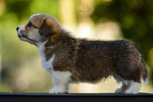 27208734 379e1cdfbbe6e37aa7266ef604b40876 xl