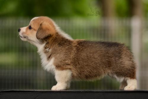 27210568 cc1a06d25390fc318cdae387c2176e95 xl