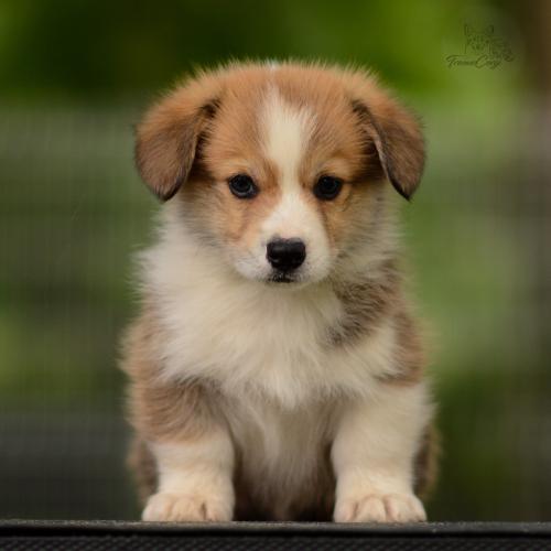 27210570 0db97e0be398b857337fec74434f0522 xl