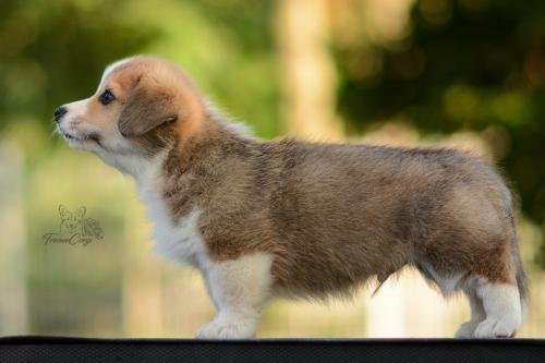 27213114 80e88847f85324fad8add4abcfd68088 xl