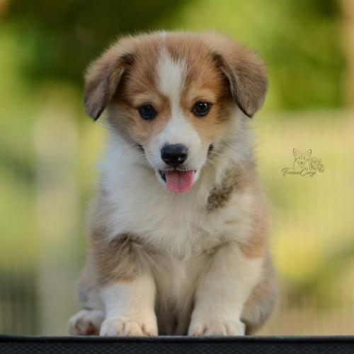 27213116 bf1ebe9459a380869a91495736b941ea xl