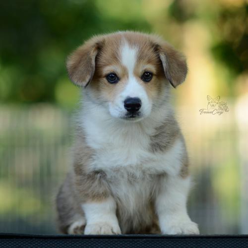 27214880 76bfe8994b682af147a667fefda27511 xl